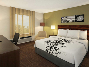 Sleep Inn & Suites Antique Style Hotel Bedroom Furniture