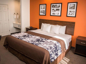 Sleep Inn & Suites Wood Decorative Hotel Bedroom Furniture